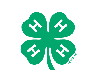 4H