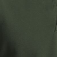 Forest Pigment